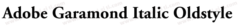 Adobe Garamond Italic Oldstyle Figu字体转换